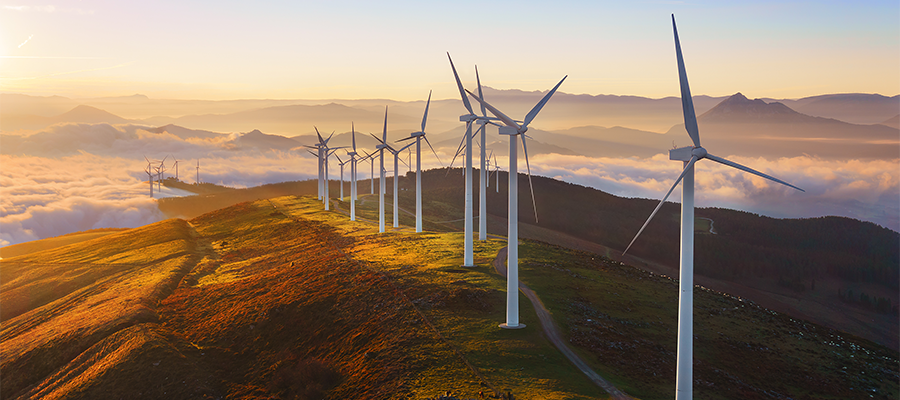 Biggest ESG Funds Beating the Market