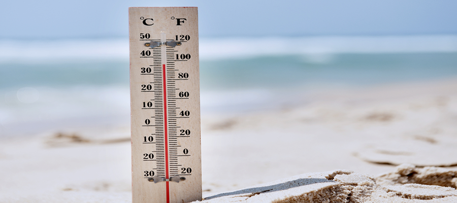 hedge-funds-made-hundreds-of-millions-from-heat-waves-across-europe